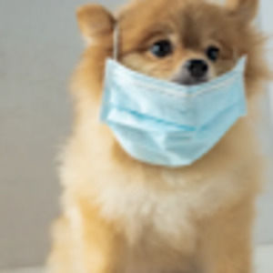 Meet your Posher, Danika